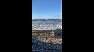 Spring thaw on January 1st