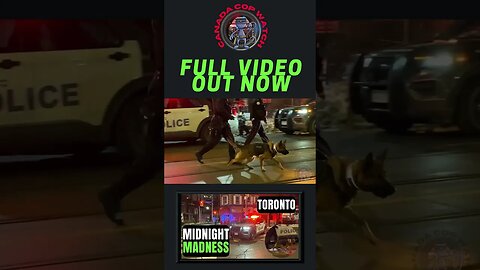 🍁🚔🎥 Racky Views Of Midnight Madness K9 Search