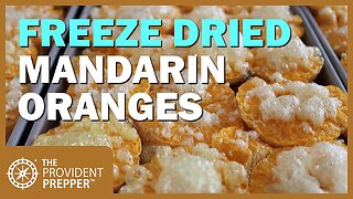 Food Storage: Freeze Dried and Bottled Mandarin Oranges