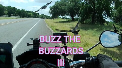 Preview of Sundays short video! #buzzards #crash #sundayshorts