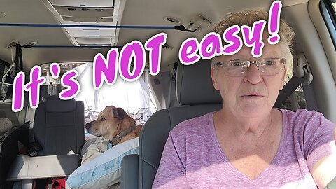 Pros and Cons of Vanlife with Dogs | Travel Options