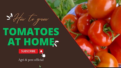 "Homegrown Tomatoes: A Step-by-Step Guide to Cultivating Delicious Produce"