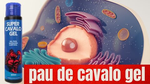 ♞ISSO NINGUÉM VAI TE CONTAR♞ Pau De Cavalo Gel Funciona Mesmo!! Pau De Cavalo Gel Aumenta Mesmo!!