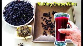How To Make Grape Wine at Home | Homemade Red Wine Recipe