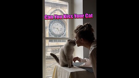 Can You Kiss Your Cat
