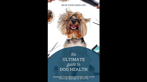 The ULTIMATE Guide to DOG Health