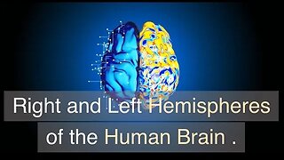 Right and Left Hemisphere of the brain