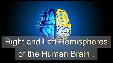 Right and Left Hemisphere of the brain