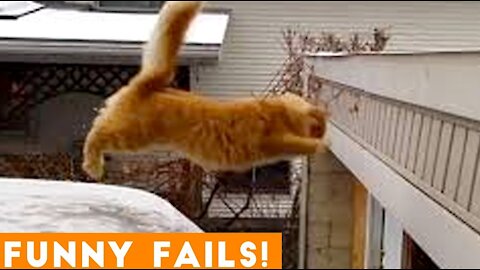 TRY NOT to LAUGH Animals FUNNY PET FAILS Compilation #5 2019 *IMPOSSIBLE*