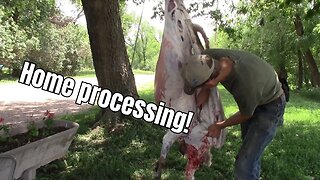 Butchering a sheep in 6 minutes