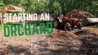 GRADING with the TRACTOR to Plant an ORCHARD | Couple builds off grid homestead