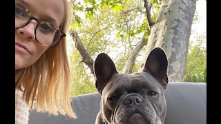 Reese Witherspoon's dog has died