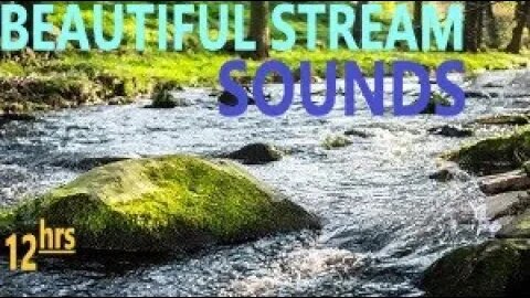 Beautiful Cascading River Flowing Sound Forest Stream, Relaxing Nature Water Sounds Sleep DeStress