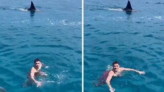 Swimmer has terrifying close encounter with shark