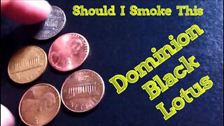 60 SECOND CIGAR REVIEW - Dominion Black Lotus - Should I Smoke This