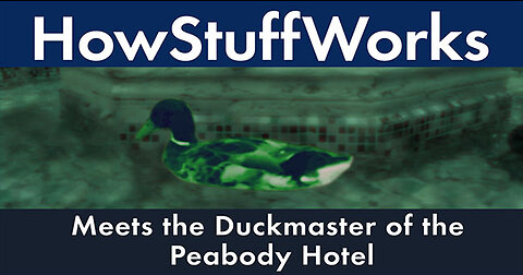 HowStuffWorks visits the Duckmaster of the Peabody Hotel