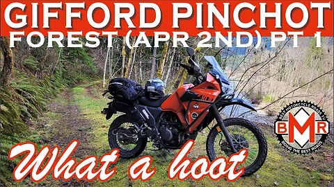 Gifford Pinchot Forest Rd 29 and Others PT 1 | 2022 KLR 650