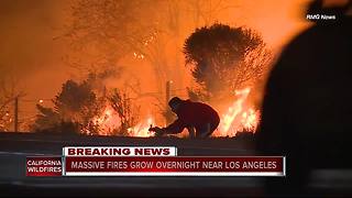 Southern California Wildfire: Driver pulls over to save wild rabbit from flames