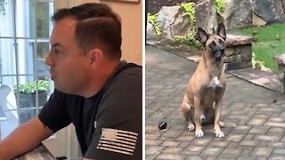 Retired K9 doesn't know what to do with his free time