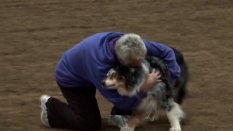 Agility dog's emotional final run will bring tears to your eyes!