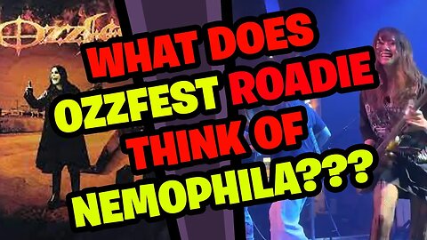 What does OZZFEST Roadie think of NEMOPHILA???