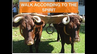 Walking In The Spirit