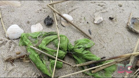 Voodoo doll, whoopie cushion among bizarre trash plucked from New Jersey beaches