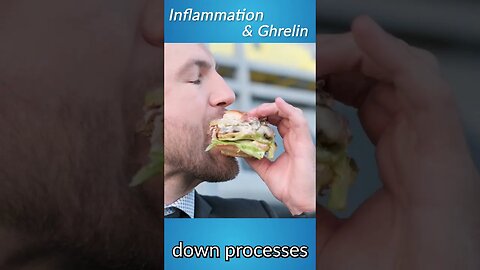 Inflammation & Ghrelin @DrDavidJockers