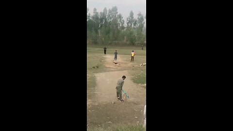 Dog 🐶 playing cricket 🏏
