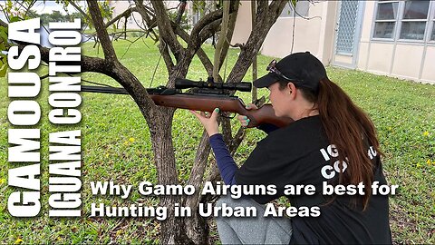 Gamo Iguana Control! Why Gamo Airguns are best for Hunting in Urban Areas and tight quarters