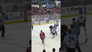 Hockey Fight ECHL Stingrays vs Gladiators