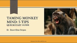 Taming Monkey Mind: Quickstart Guide