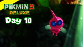 Pikmin 3 Deluxe - Day 10 - Pink Winged Pikmin