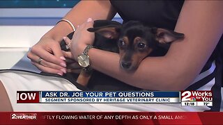 Ask Dr. Joe: Meet Thumper