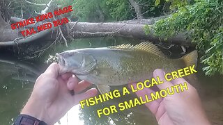 FISHING A LOCAL CREEK FOR SMALLMOUTH