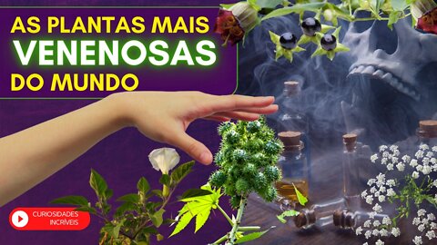 As plantas mais venenosas do mundo