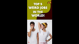 Top 5 Weird Jobs In The World *