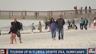 Tourism up in Florida despite Zika and Hurricanes