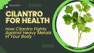 Harness the Power of Cilantro for Detoxification