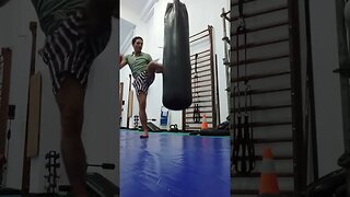 Kick and Punch Bag (36)