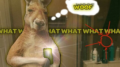 Fur-tastic Funnies: The Cutest Animal Comedy Moments!