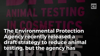 Environmentalists’ Beloved EPA Caught Forcing Animals to Inhale Poisons