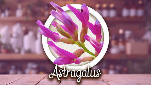 Astragalus - Immune Support, Anti-aging, Energy Boost