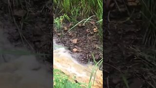 Flood creates a creek!