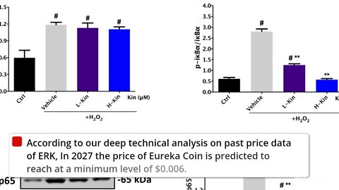 Eureka Coin Price Prediction 2022, 2025, 2030 ERK Price Forecast Cryptocurrency Price Prediction