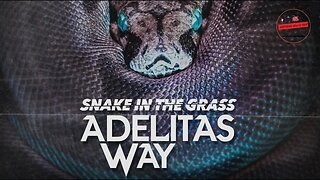Hard Hitting Song "Snake In The Grass" From ADELITAS WAY - New Music From Artists We Love