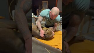 A dog chiropractor adjusting the dog's neck sounds like biting on an apple.