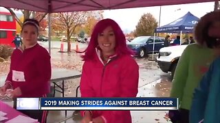 Making Strides Against Breast Cancer