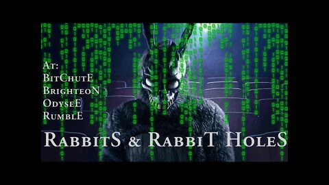 Rabbits & Rabbit Holes (Preview)