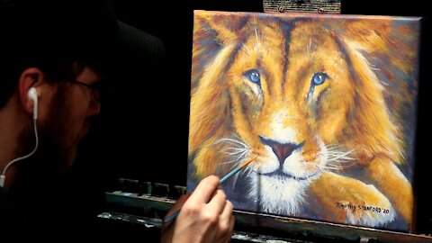 Acrylic Wildlife Painting of a Resting Lion - Time-lapse - Artist Timothy Stanford